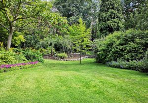 Optimiser l'expérience du jardin à Montloue